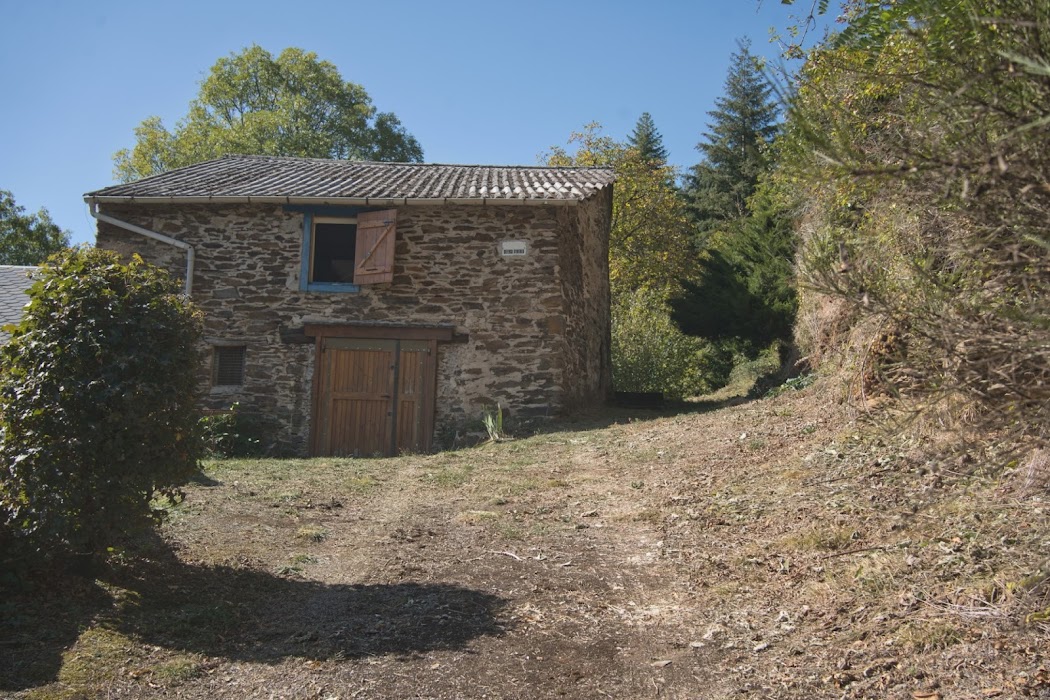 Nettoyage d'un terrain