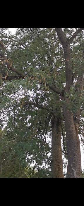 Équipe de confiance et professionnelle - Image 2