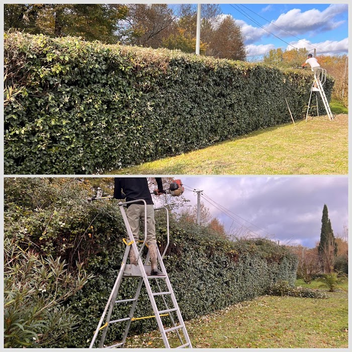 Entretien Jardin47 – Élagueur & Paysagiste à Agen - Notre atelier