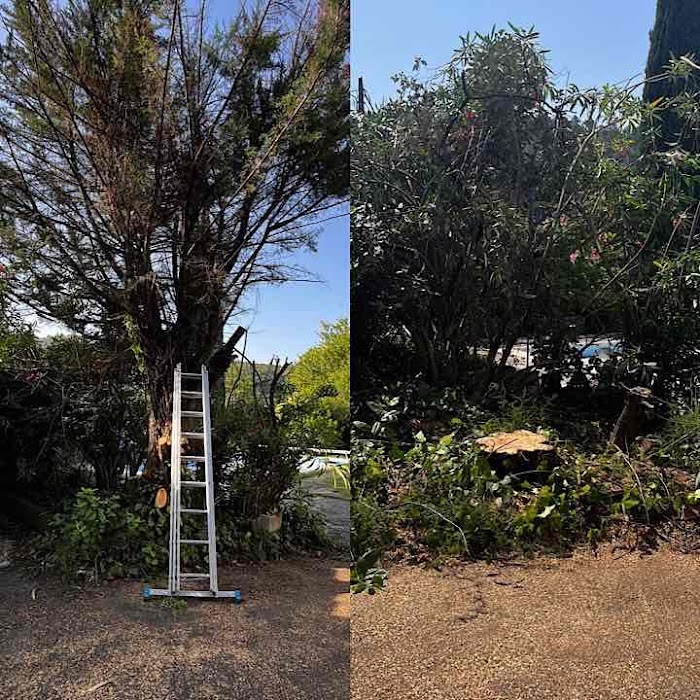 Bruno Élagage - Notre atelier
