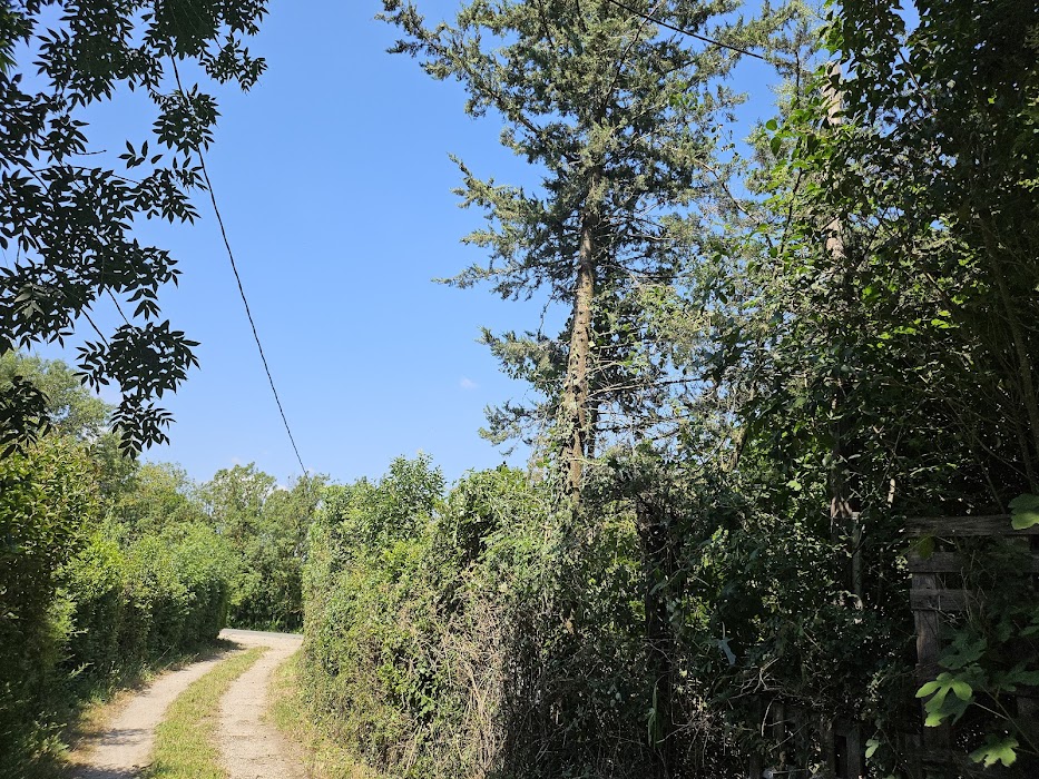 Équipe de confiance et professionnelle - Image 3