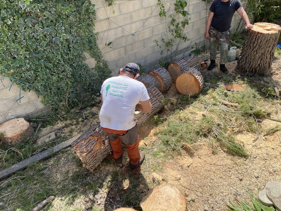 Intervention rapide et sérieuse - Image 3