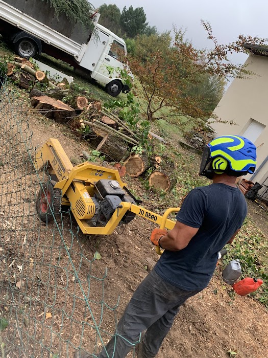 Bruno Élagage - Notre atelier