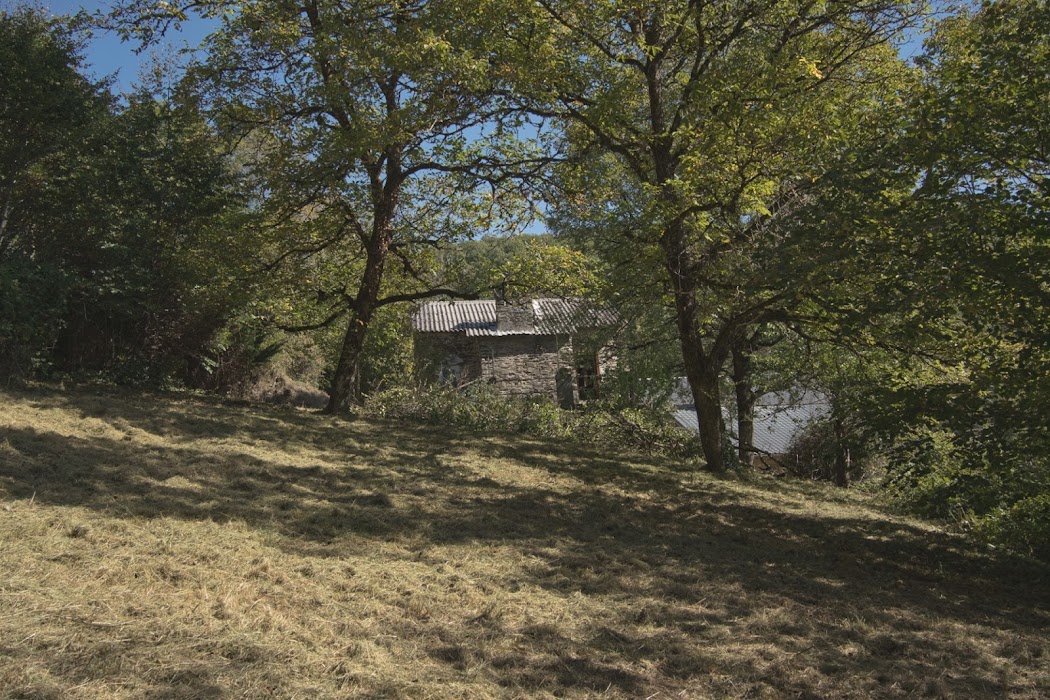 Nettoyage de terrain - Image 2