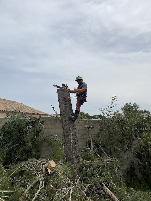 Entretien de jardin - Image 2