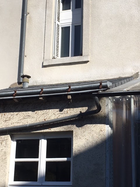 Intervention professionnelle