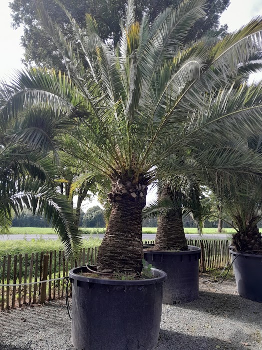 Alium Paysage - Notre atelier