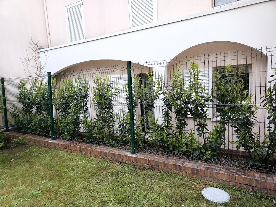 Intervention professionnelle