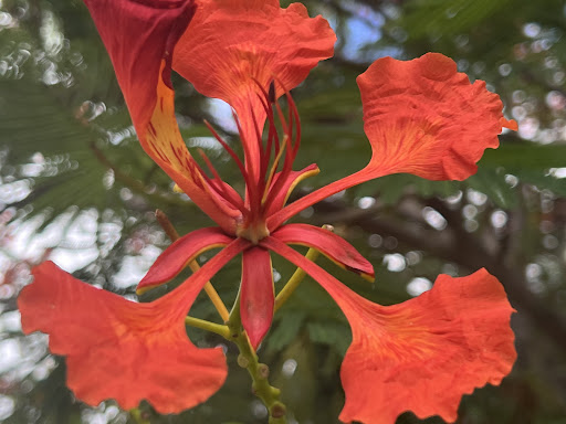 PRIMO TRAVAUX - Notre atelier